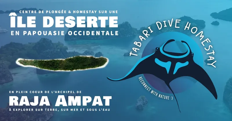 Raie manta stylisée sur fond bleu, île et texte publicitaire