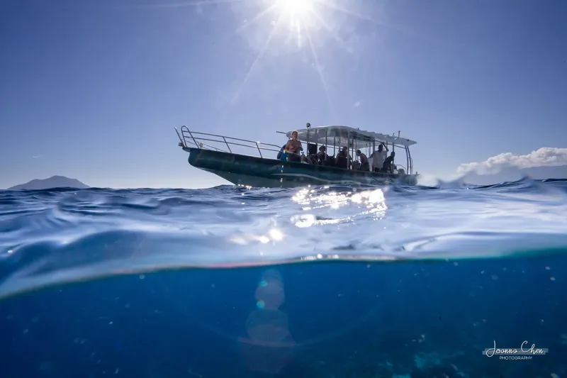 Bateau de plongée avec des passagers, vue moitié aérienne moitié sous-marine