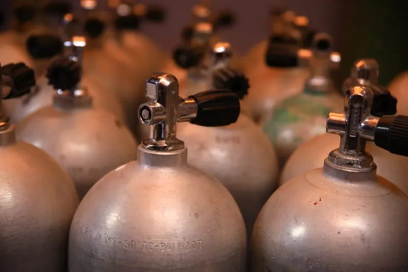 Bouteilles de plongée alignées, prêtes à être utilisées pour une immersion