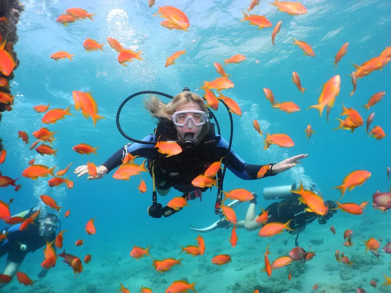 Plongeuse entourée d'un banc de poissons rouges en milieu aquatique