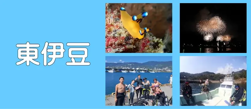 Collage de photos : plongeurs, nudibranche, bateau et feux d'artifice