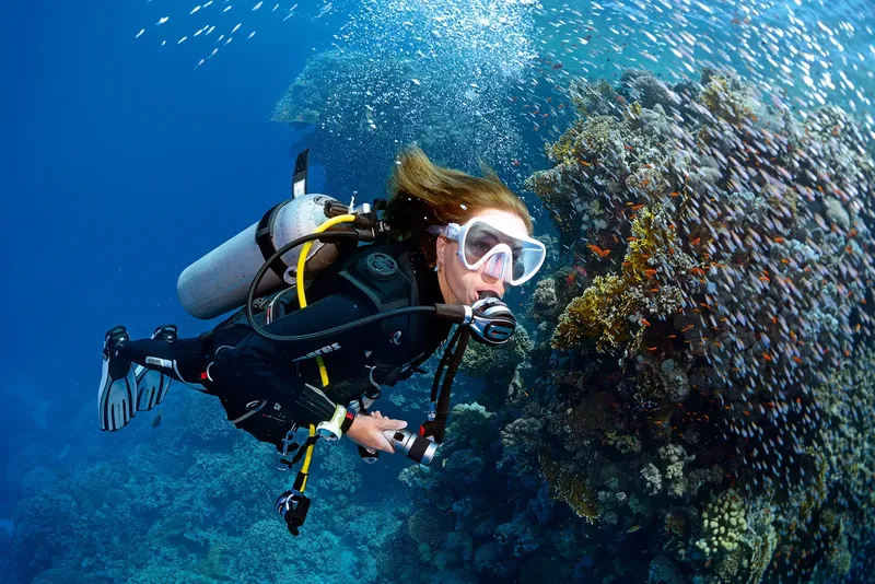 Plongeuse explorant un récif corallien avec de nombreux poissons colorés