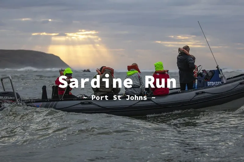 Personnes à bord d'un bateau pneumatique en mer, texte 'Sardine Run'