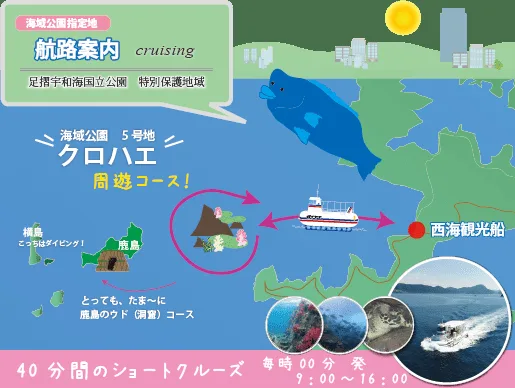 Carte illustrant un parcours de plongée avec un poisson et un bateau