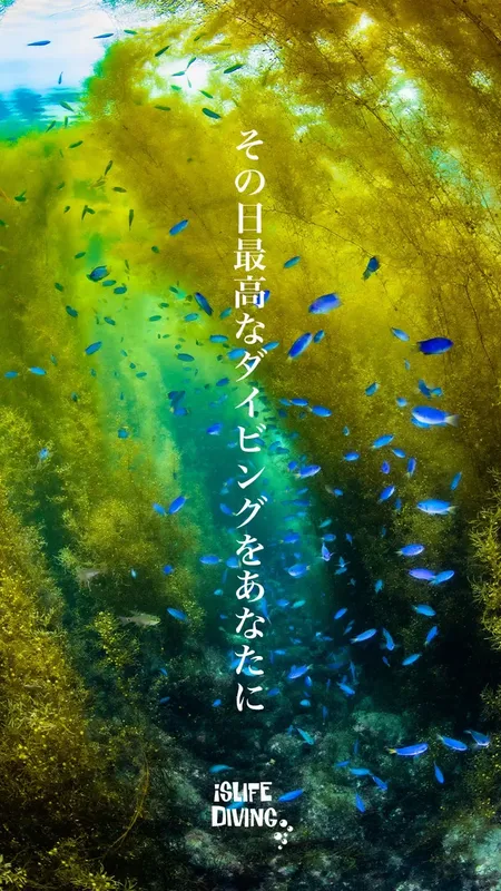 Banc de poissons bleus nageant dans une eau verte et lumineuse