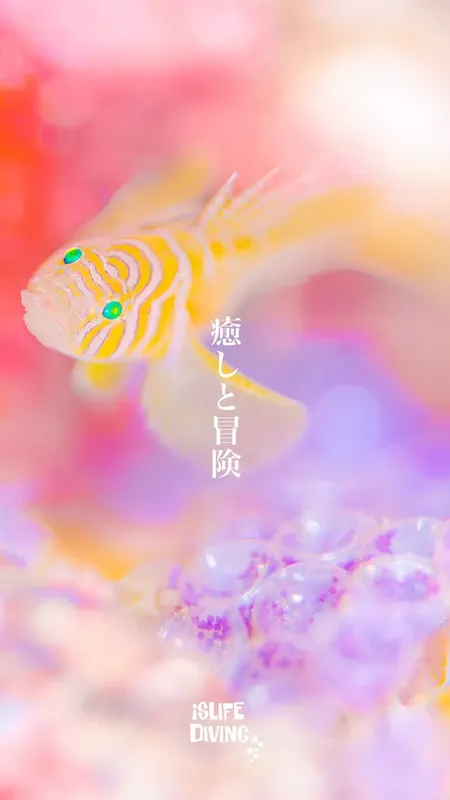Petit poisson rayé jaune et blanc nageant dans un récif corallien coloré
