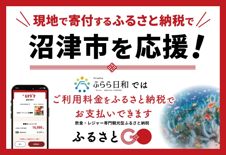 Promotion avec un smartphone, des poissons et un récif corallien coloré