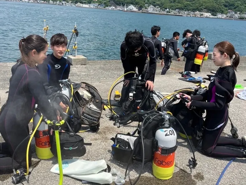 Groupe de plongeurs préparant leur équipement sur un quai ensoleillé