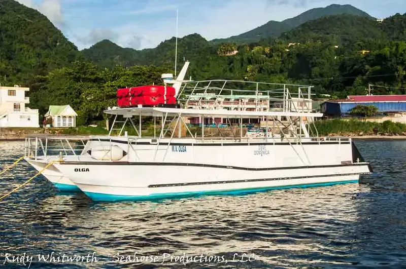 Catamaran de plongée amarré dans une baie tropicale ensoleillée