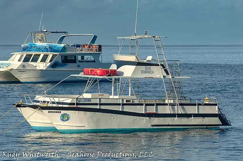 Deux bateaux de plongée amarrés sur une mer calme et ensoleillée
