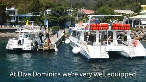 Deux bateaux de plongée amarrés devant des bâtiments et des personnes
