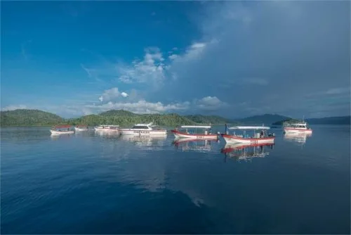 Plusieurs bateaux de plongée amarrés sur une eau calme et bleue