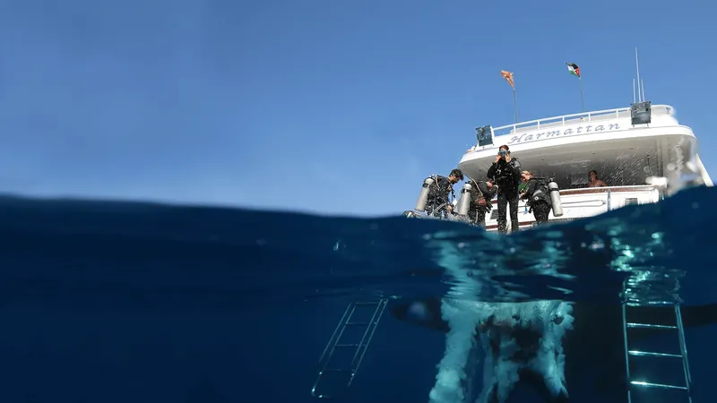 Plongeurs équipés se préparent à entrer dans l'eau depuis un bateau