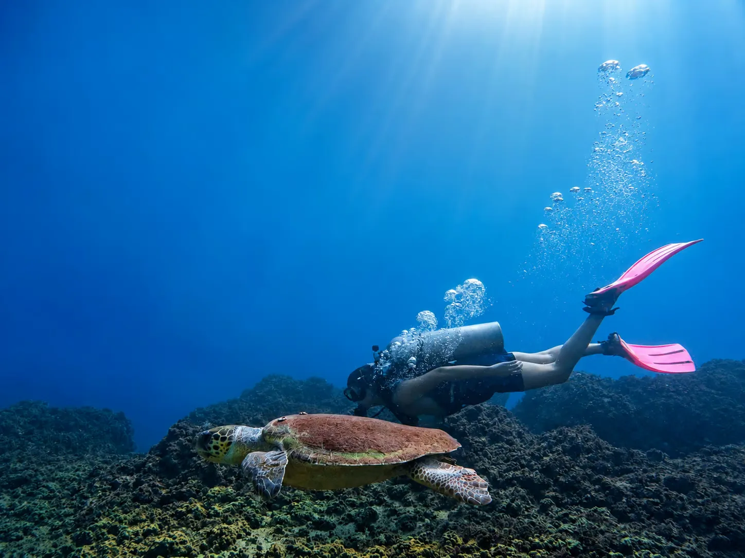 Bubbles - Club for Divers