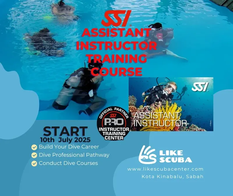 Plongeurs en formation, piscine, logo SSI, date de début de cours