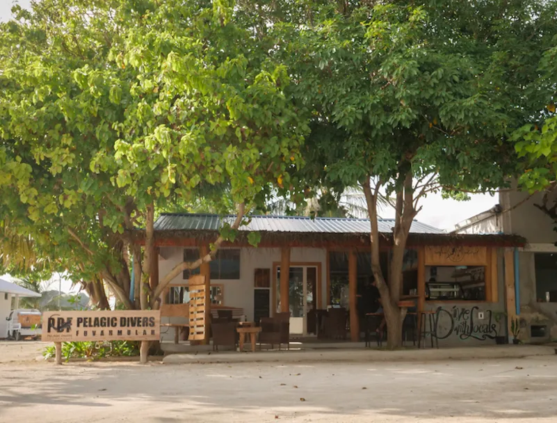 Façade d'un centre de plongée tropical avec végétation luxuriante et sable