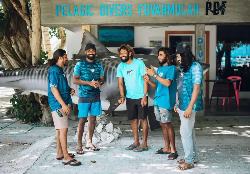 Groupe de personnes posant avec une sculpture de requin tigré