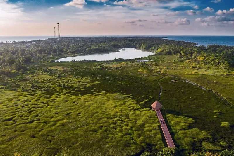 Vue aérienne d'une île tropicale avec une passerelle et des personnes