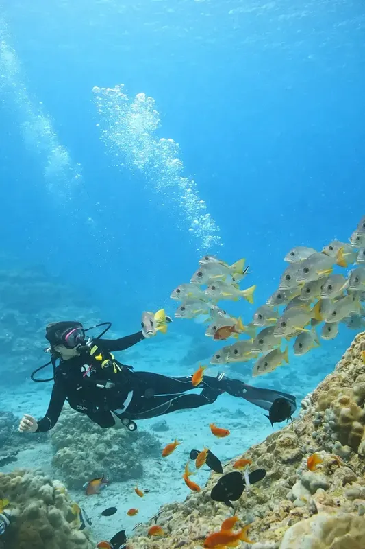 Plongeuse entourée d'un banc de poissons colorés sur un récifal corallien