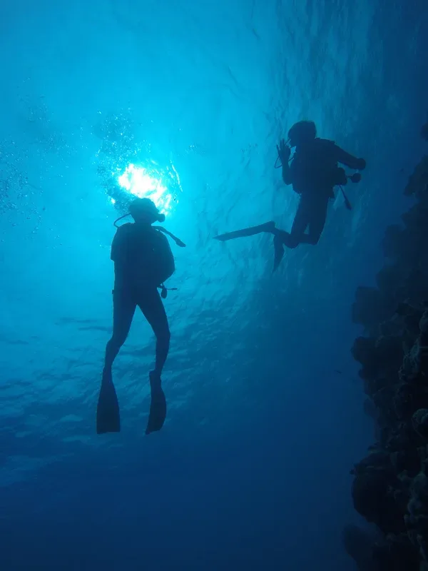 Deux plongeurs explorent un récifal corallien en apnée, lumière filtrée