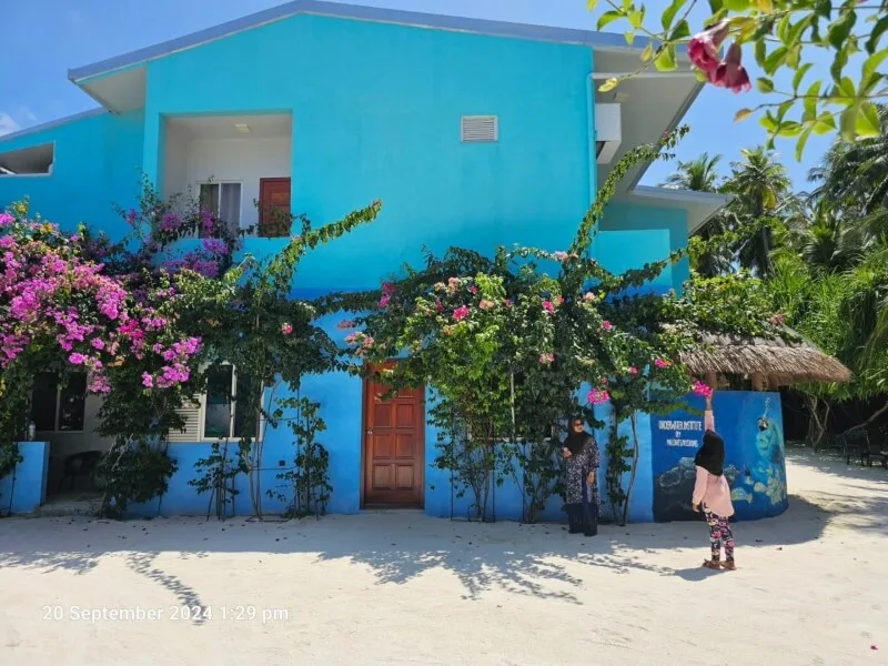 Bâtiment bleu vif avec végétation tropicale et personnes sur une plage
