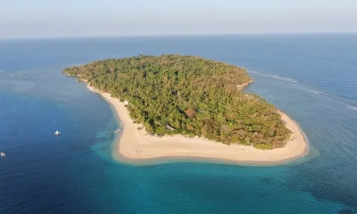 Île tropicale avec plage de sable fin et végétation luxuriante