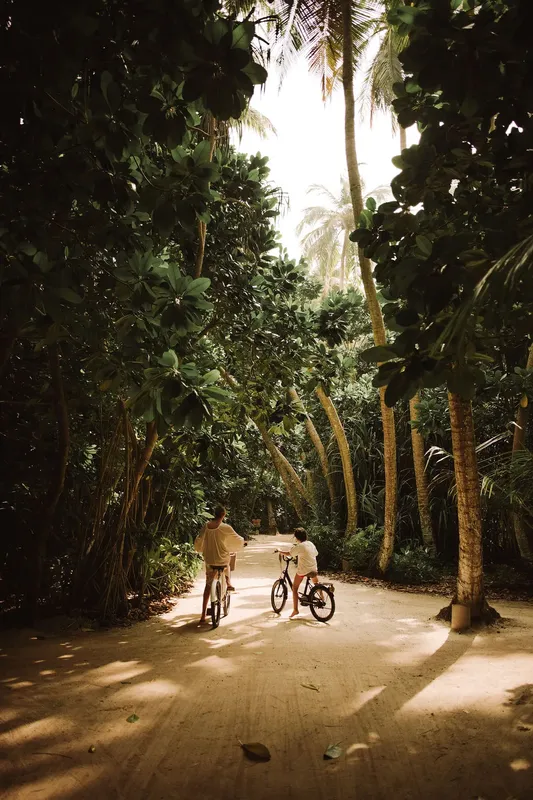 Deux personnes à vélo sur une route bordée de végétation tropicale