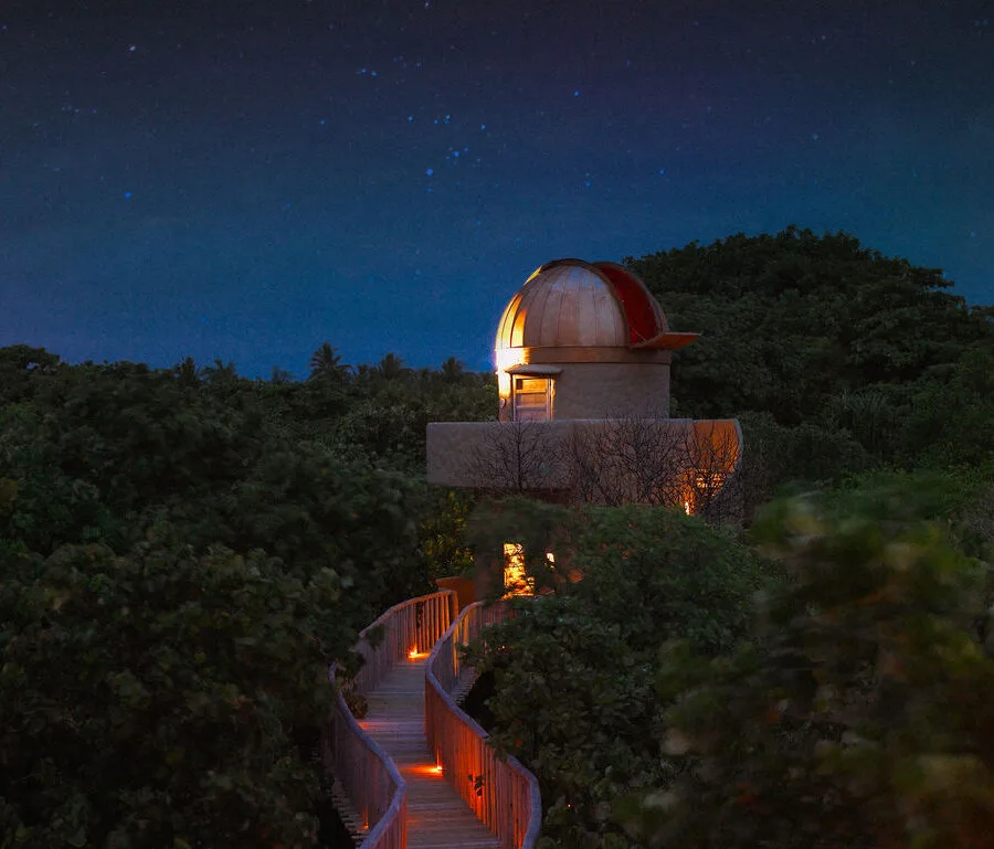 Bâtiment avec dôme éclairé au milieu de la végétation nocturne