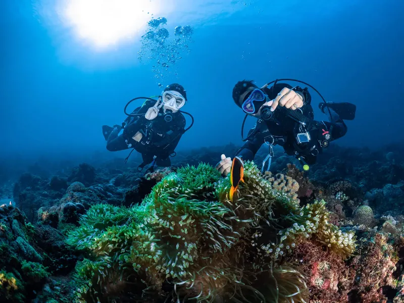 Deux plongeurs explorent un récif corallien avec un poisson clown
