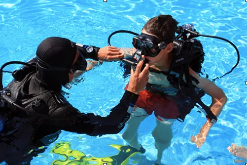 Deux plongeurs en formation, vérification du matériel et assistance en piscine