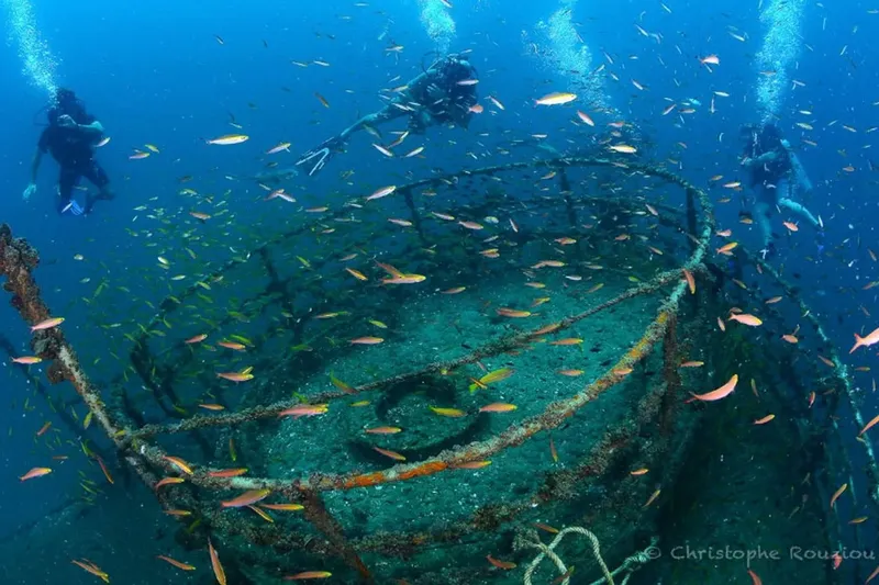 Plongeurs explorent une épave colonisée par de nombreux poissons colorés