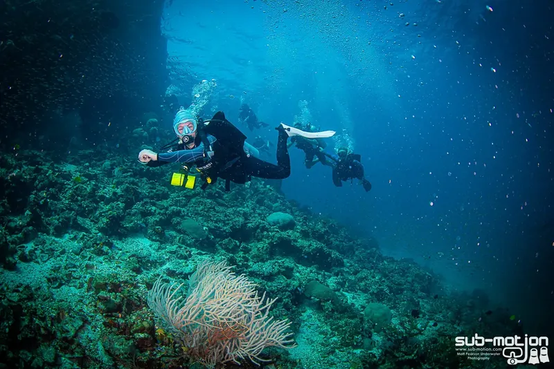 Deux plongeurs explorent un récifal corallien bleu et lumineux