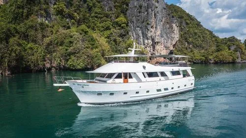 Grand bateau blanc navigue sur une eau turquoise entourée de falaises