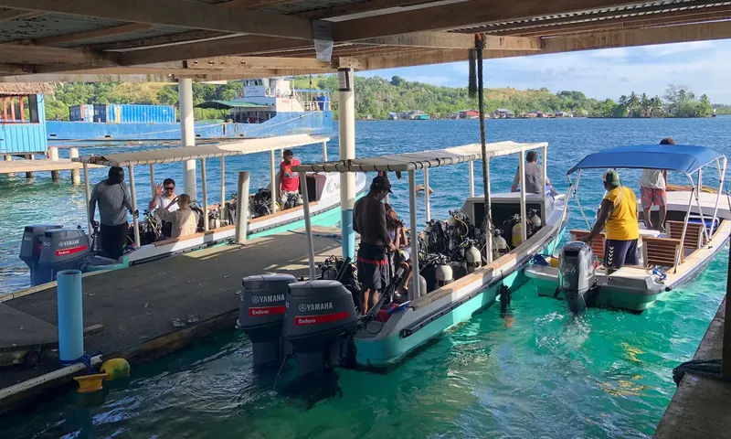 Préparation de la plongée sur un ponton avec des bateaux et des personnes