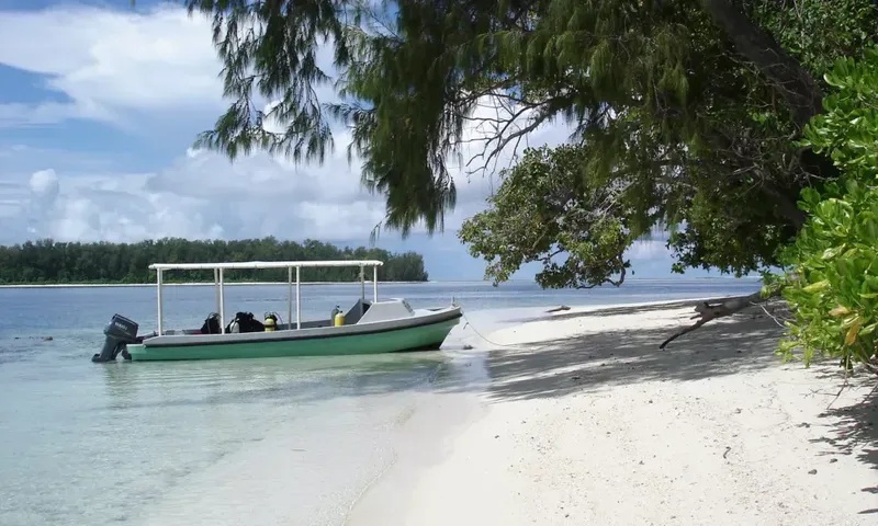 Bateau de plongée vert amarré sur une plage de sable blanc