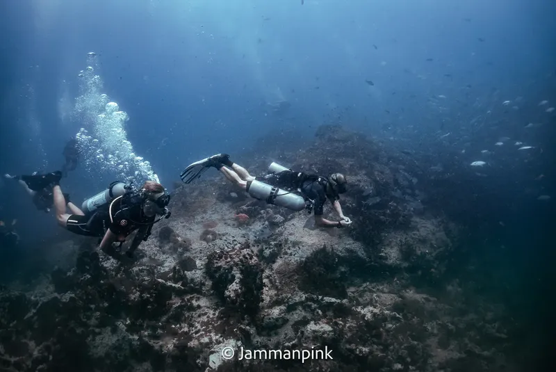 Deux plongeurs explorent un fond rocheux sous-marin avec des bulles