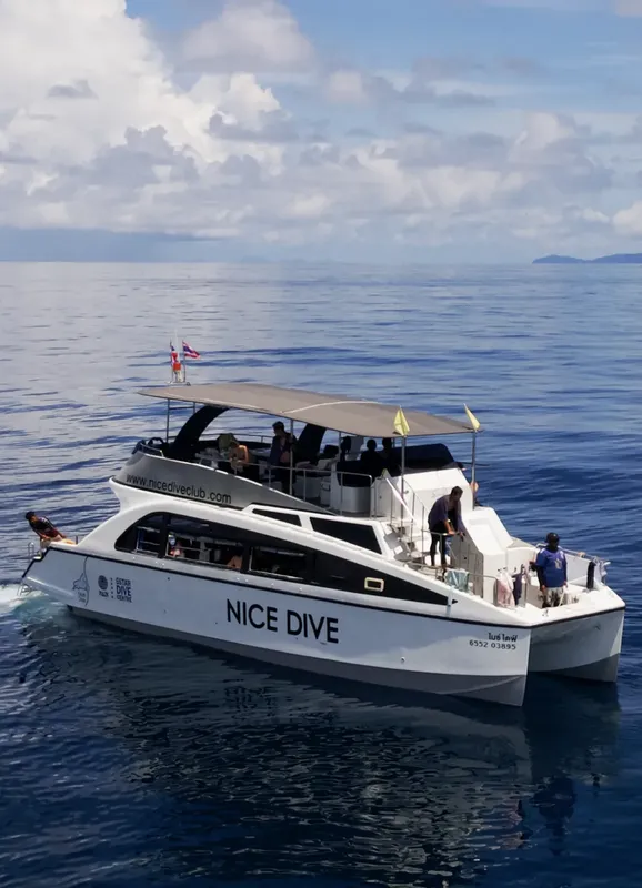 Catamaran blanc avec des passagers naviguant sur une mer bleue calme