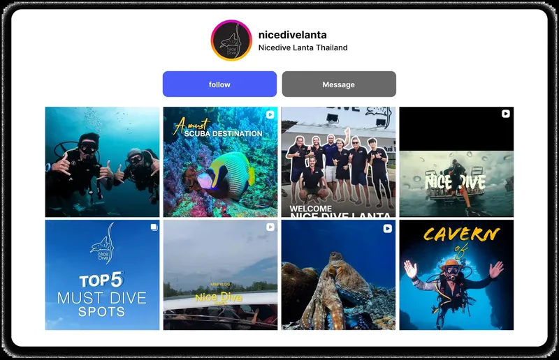 Divers plongeurs et animaux marins dans un montage de photos colorées