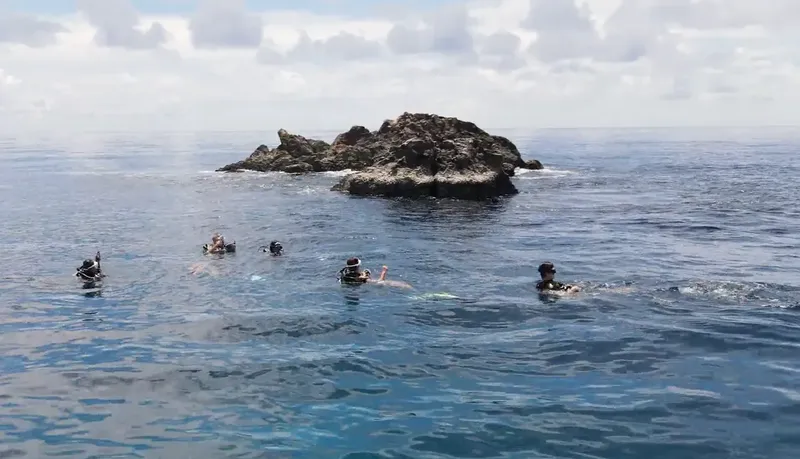 Groupe de plongeurs en surface près d'une petite île rocheuse