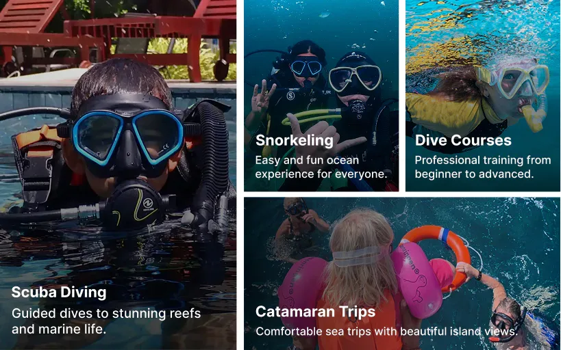Quatre images : plongeur, snorkelers, cours de plongée, excursion catamaran