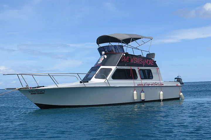 Bateau de plongée blanc et gris sur une mer bleue calme