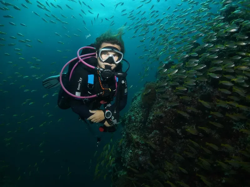 Plongeur avec masque et combinaison entouré d'un banc de poissons