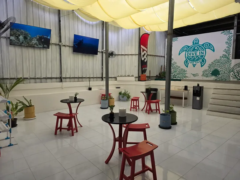 Espace détente intérieur avec tables, chaises rouges et écrans de plongée