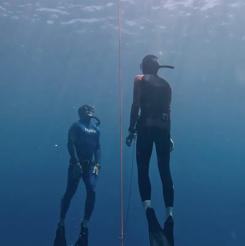 Deux plongeurs en apnée descendent le long d'un fil dans l'eau bleue