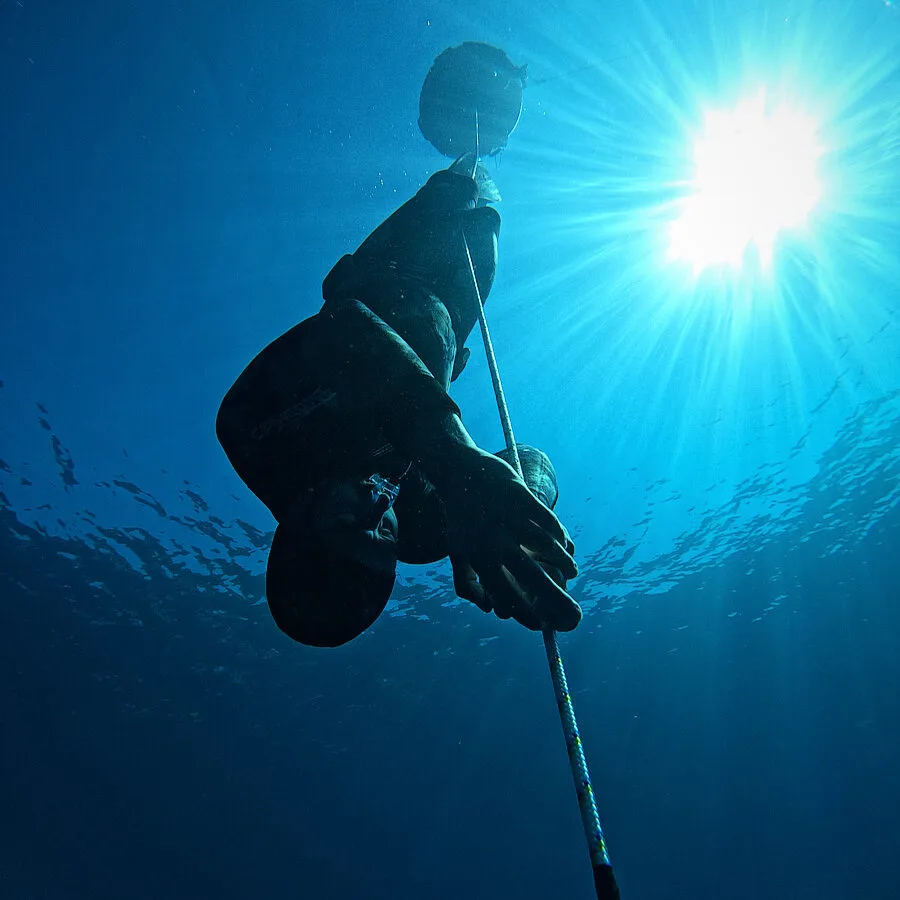 Apnea, un plongeur en combinaison noire remonte vers la surface