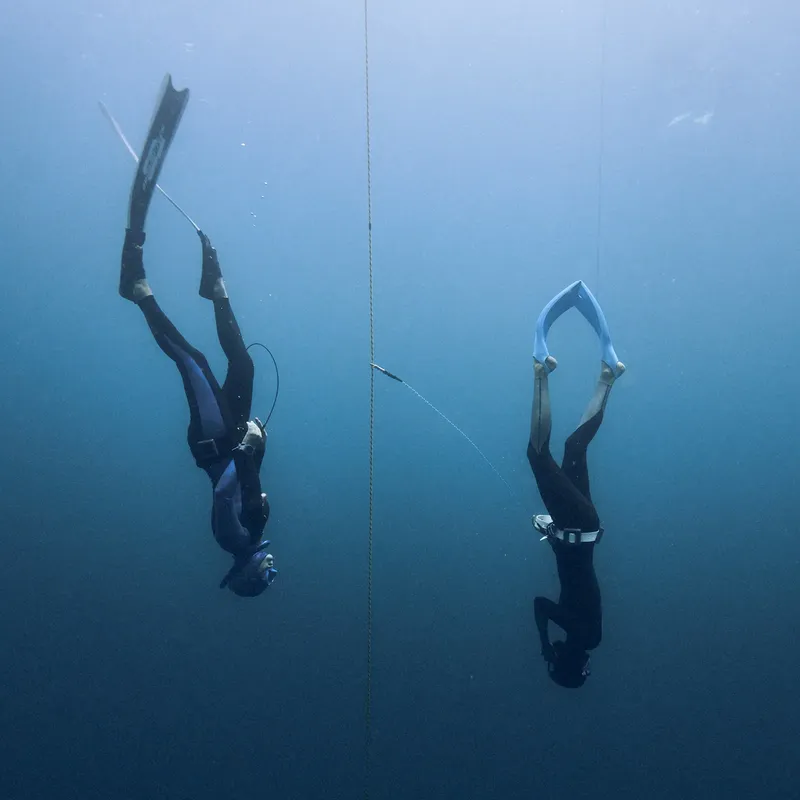 Deux apnéistes en combinaison plongent verticalement dans l'eau bleue