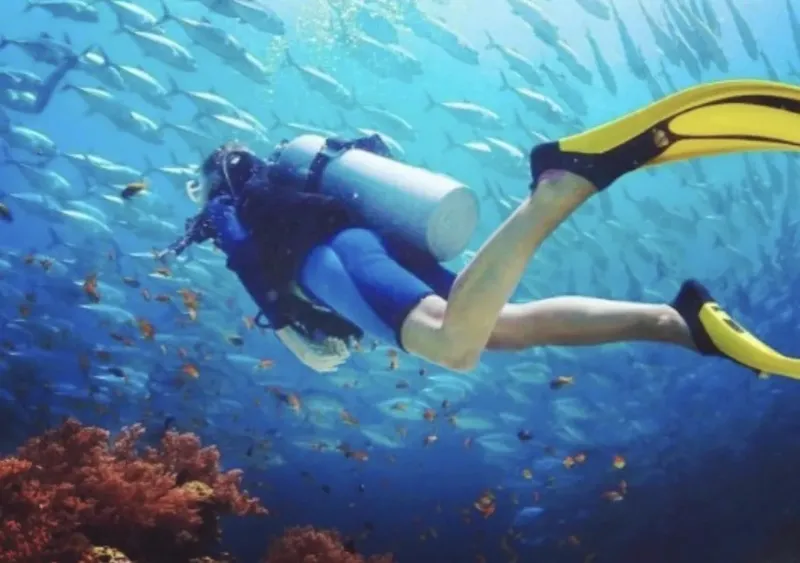 Plongeuse évolue au milieu d'un banc de poissons dans l'eau bleue