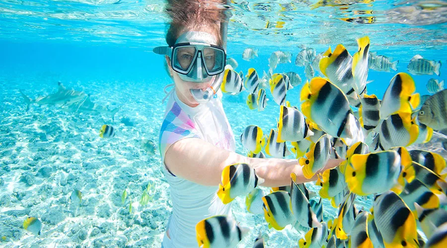 Plongeuse avec masque entourée d'un banc de poissons tropicaux colorés