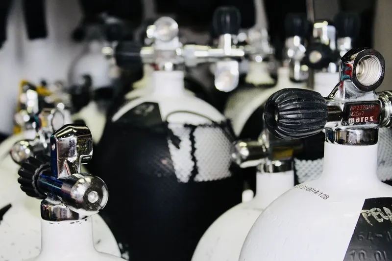 Rangée de bouteilles de plongée blanches et noires avec détendeurs chromés