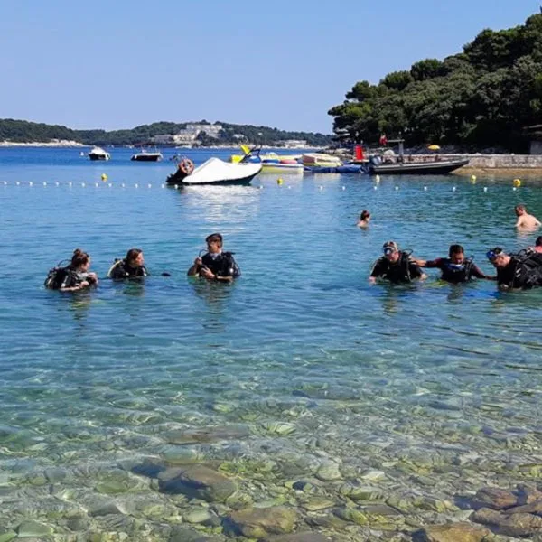 Plongeurs équipés se préparent à entrer dans une mer claire et calme